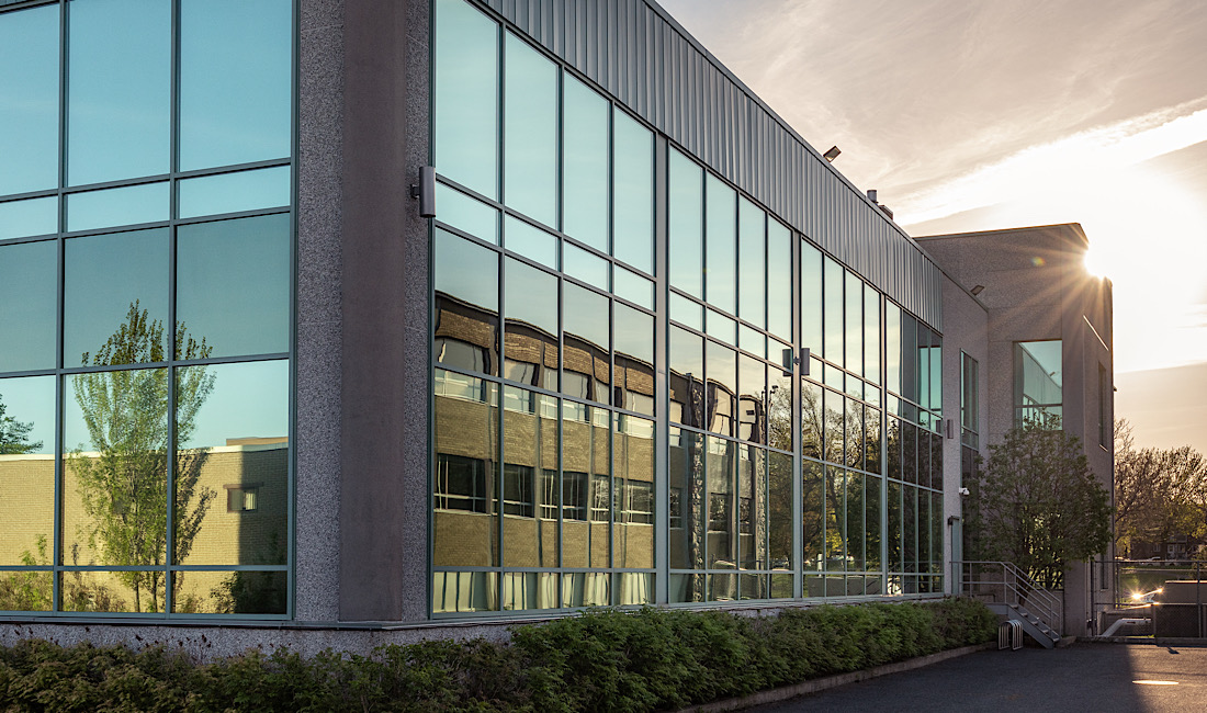 Commercial window tint in workspace office in Meridian, ID